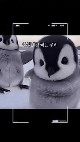 bt580f5c1a308a6c13588e7c4971daf895.gif