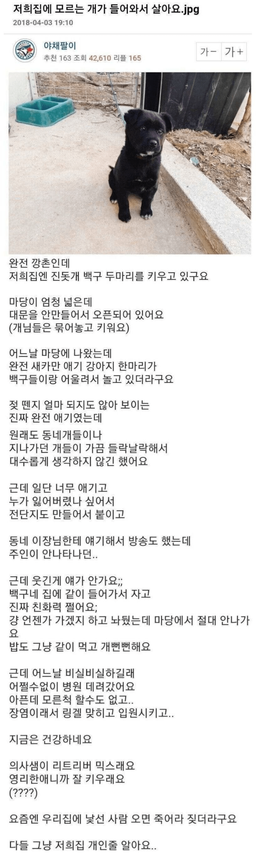 저희집에 모르는 개가 들어와서 살아요