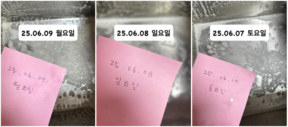'치킨집 청소 달인' 올해 근황