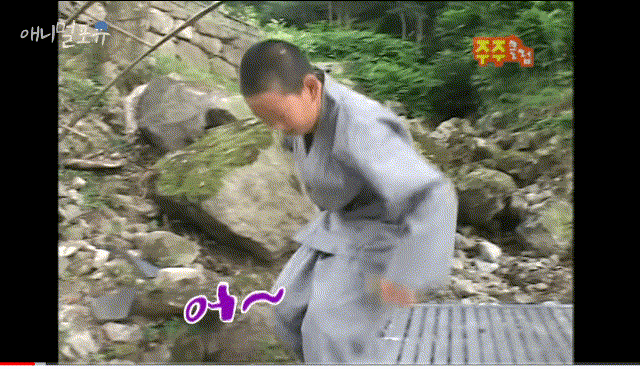절에서 강아지 돌보는 동자승