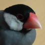 bt660970c8d04a170a27caf3b4c3fd4b48.png