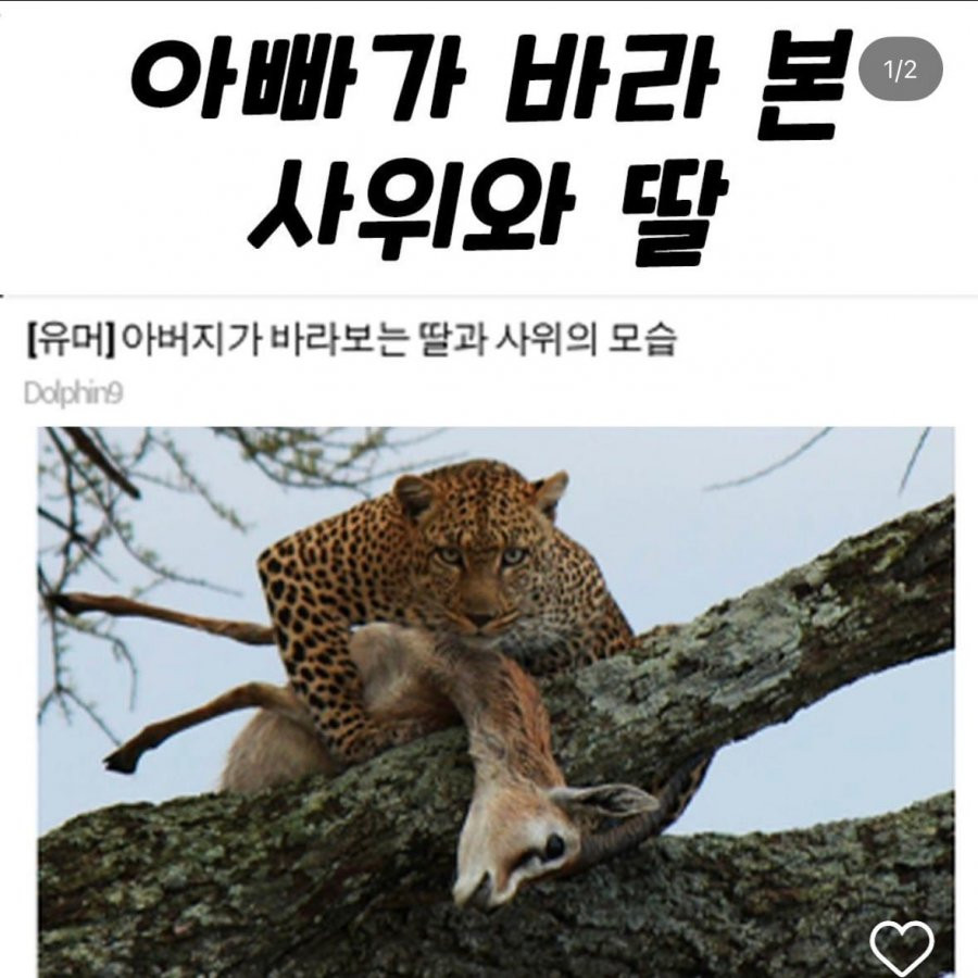 아빠가 바라본 사위와 딸내미