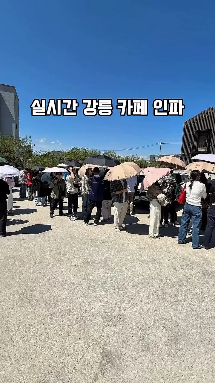 [스압] 강릉 유명 카페 대기줄 .jpg