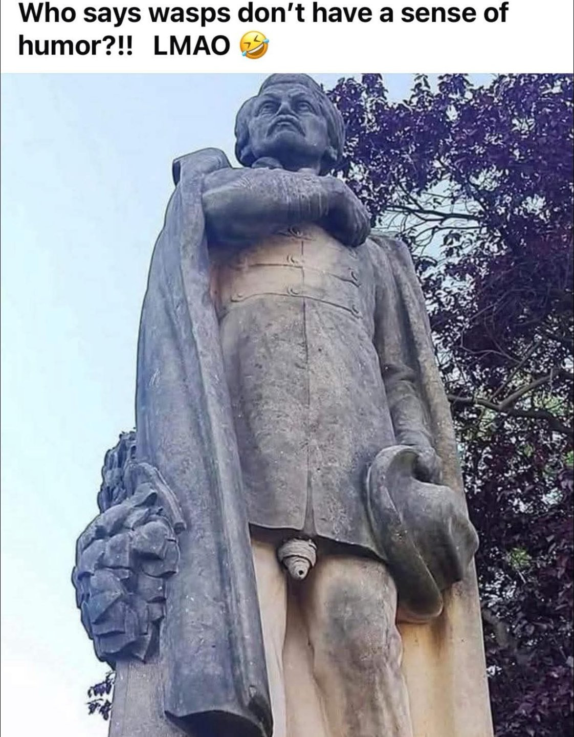 고추가 아니라