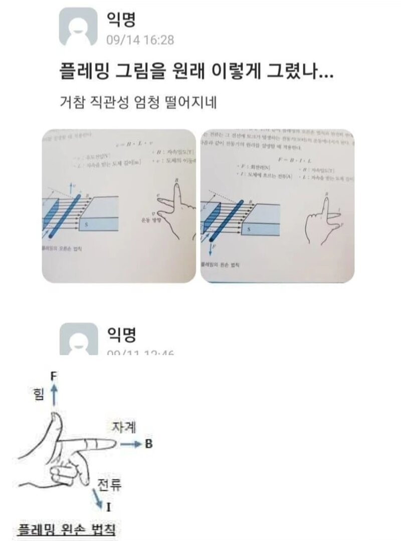 최근 중딩이 배우는 플레밍의 한남 법칙