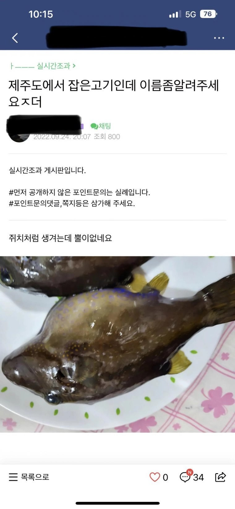 낚린이가 잡은 생선 때문에 난리 난 낚시카페