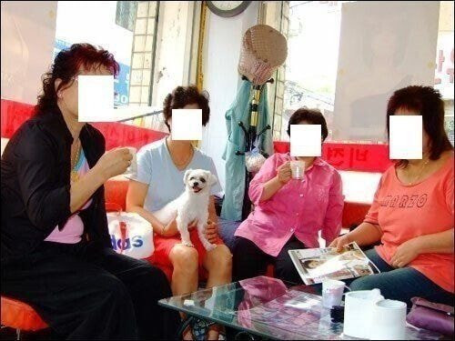 동네 미용실 풍경