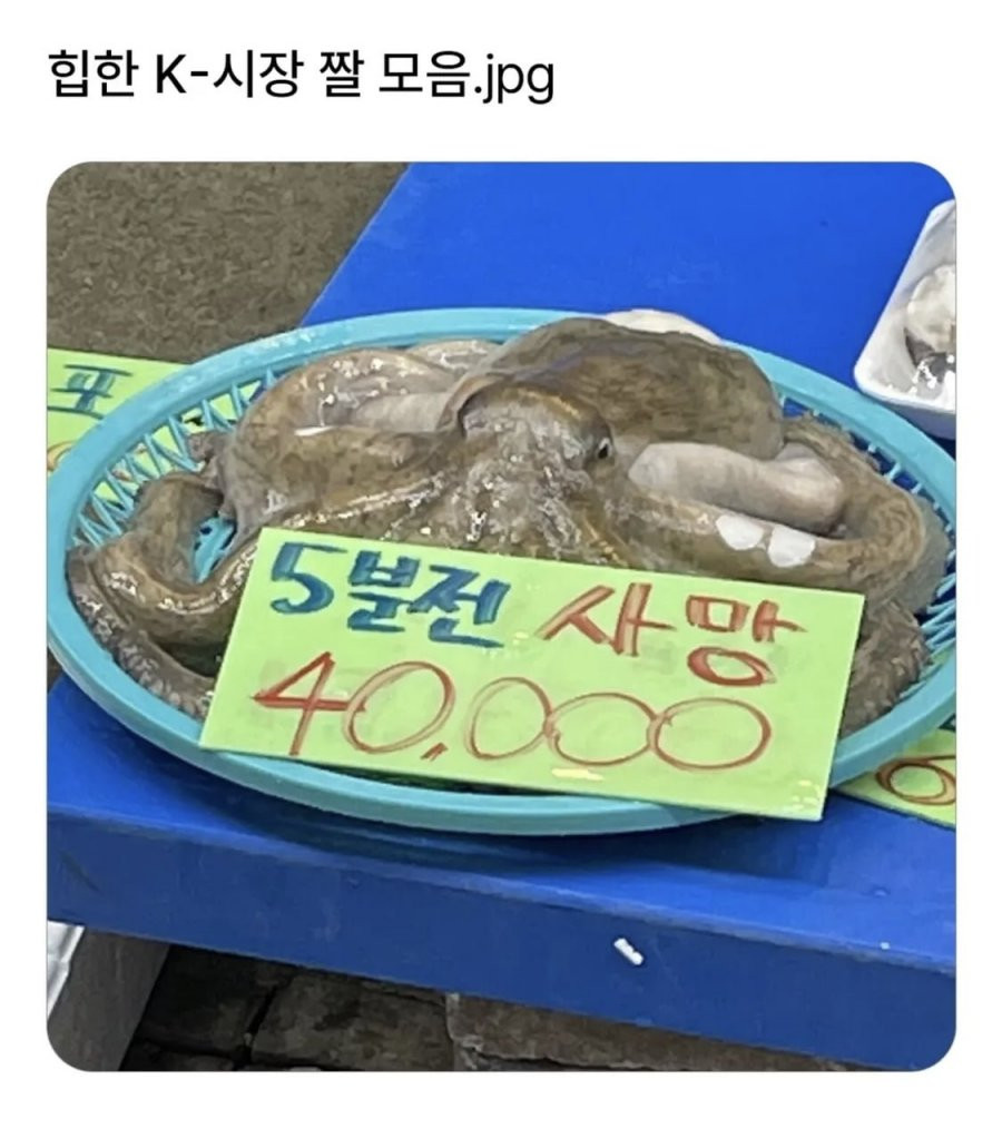 힙한 K-시장 짤 모음2