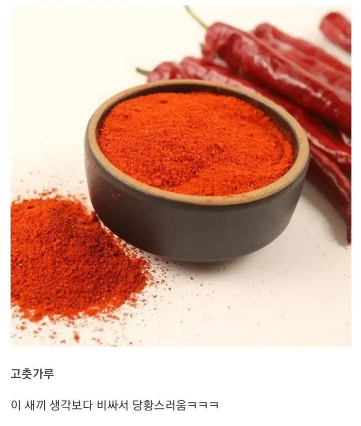 초보 자취생들 공감