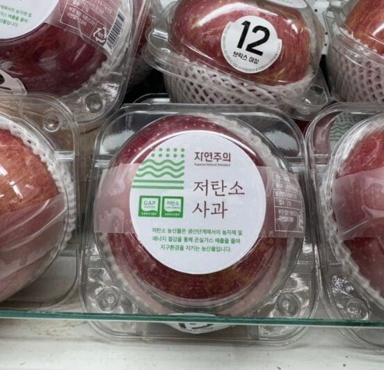친환경 저탄소 사과