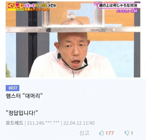 촉감만으로 무엇인지 맞추기