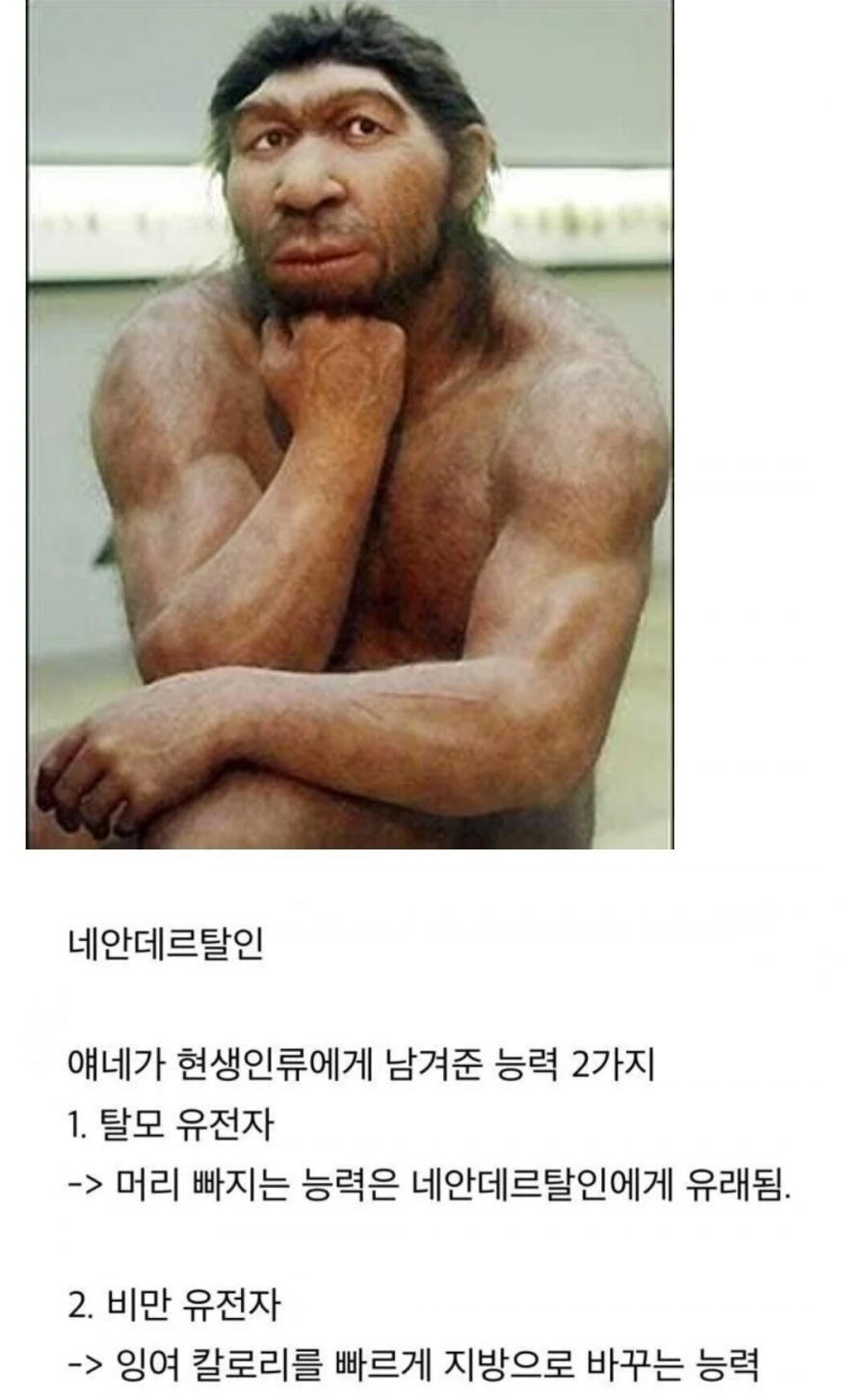 아종간 교배가 위험한 이유.jpg