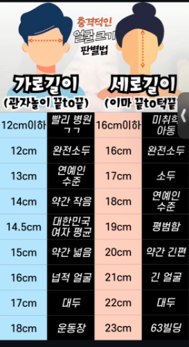 충격적인 얼굴 크기 판별법