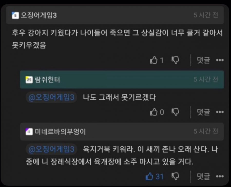 상실감때메 강아지 못 키우겠다는 사람들 꿀팁