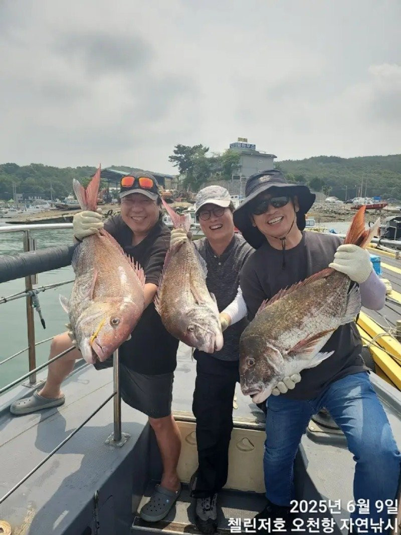 행복한 시간 보내고 계시는 유시민 작가님