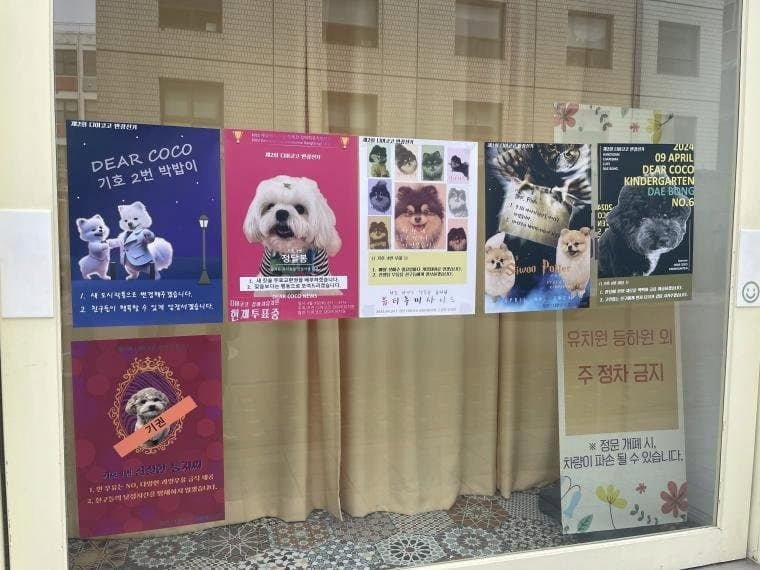 강아지 대통령 뽑는 강아지 유치원