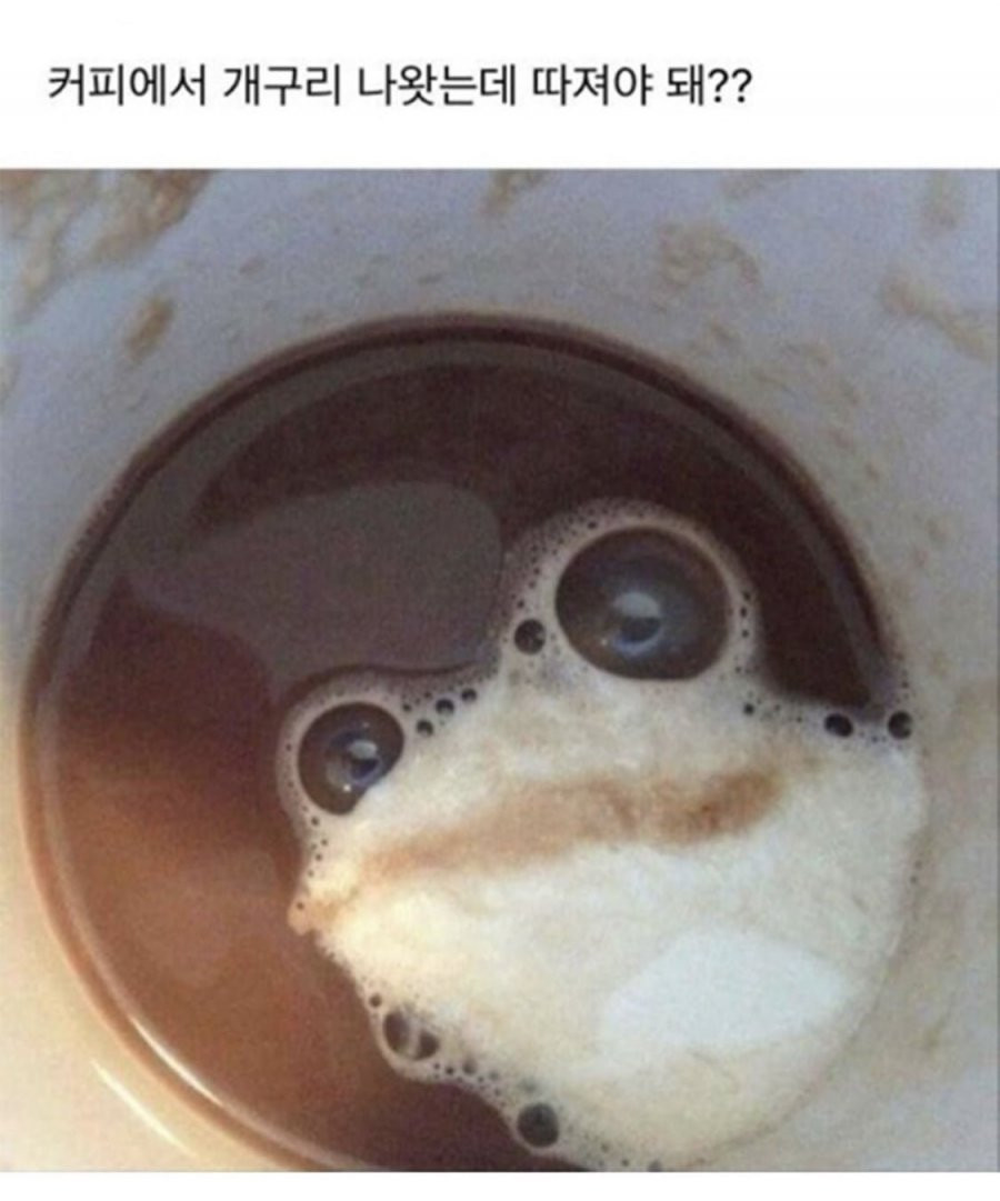 커피에서 개구리??