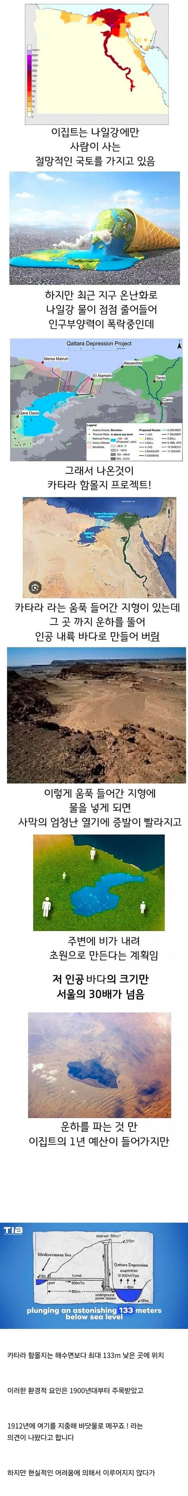 현재 이집트가 직면한 국가 프로젝트