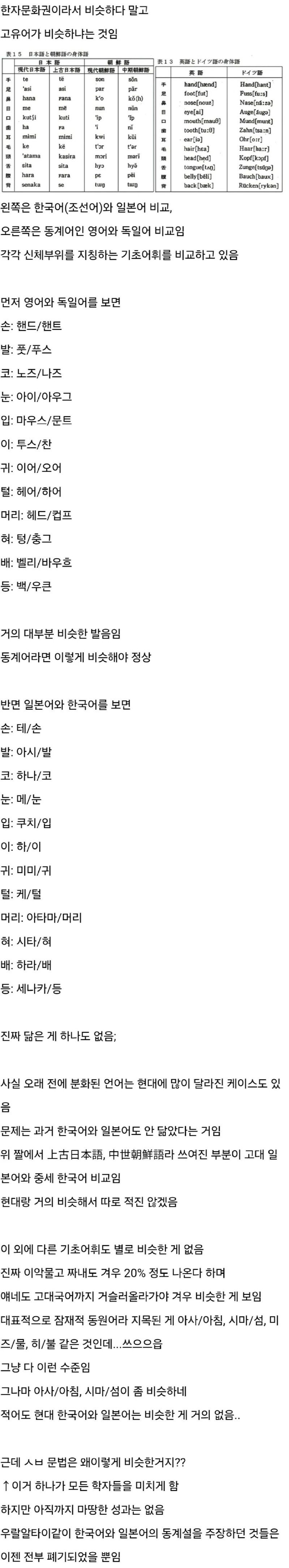한국어와 일본어를 연구하는 언어학자들이 미치는 이유.jpg