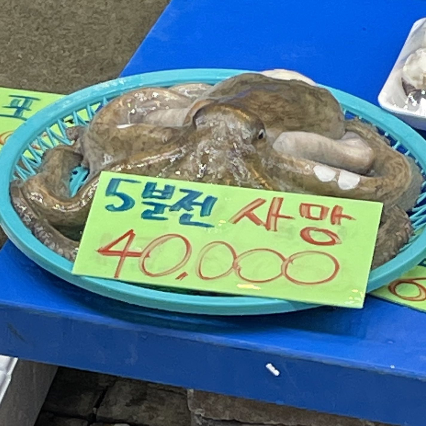 갓 돌아가신